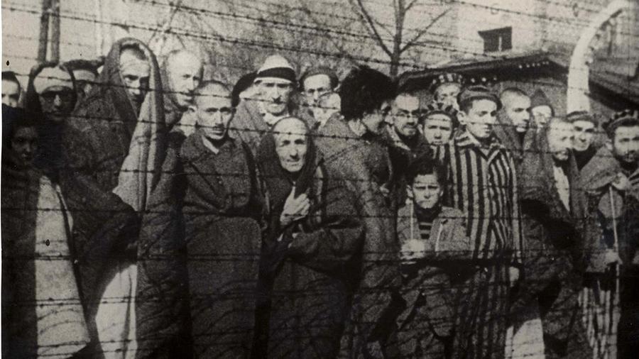 The Jewish population in Europe dropped dramatically from about 9.7 million in 1939 to approximately 3.6 million in 1946. This decline hints at around 6.1 million deaths. However, this number is a rough outer boundary since not all deaths result from direct Holocaust actions. Disease, hunger, and war casualties also affected the population figures. Thus, population decrease alone cannot precisely define the Holocaust death toll.