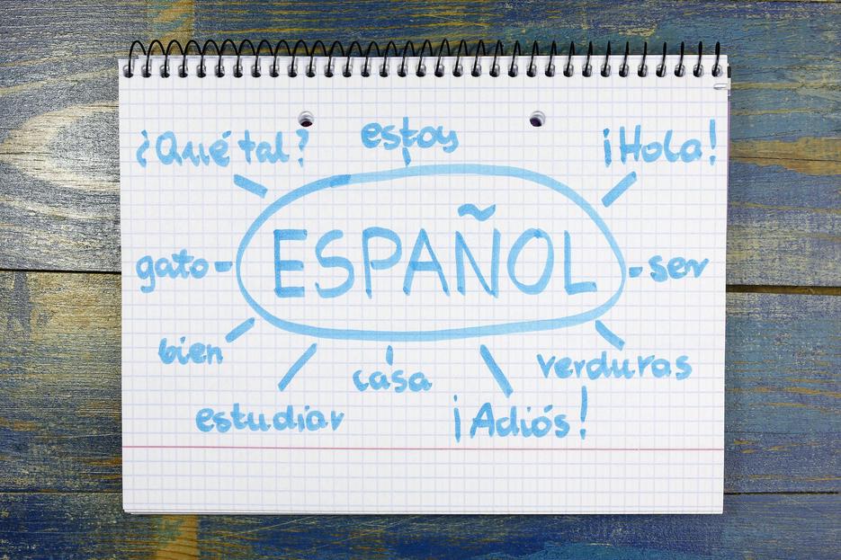 To explore cultural and social histories during the war itself, considerThe Splintering of Spain: Cultural History and the Spanish Civil War, 1936–1939edited by Ealham and Richards (2005). This collection of essays offers diverse viewpoints, allowing readers to focus on sections tailored to their interests.