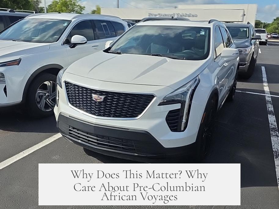 Why Does This Matter? Why Care About Pre-Columbian African Voyages?