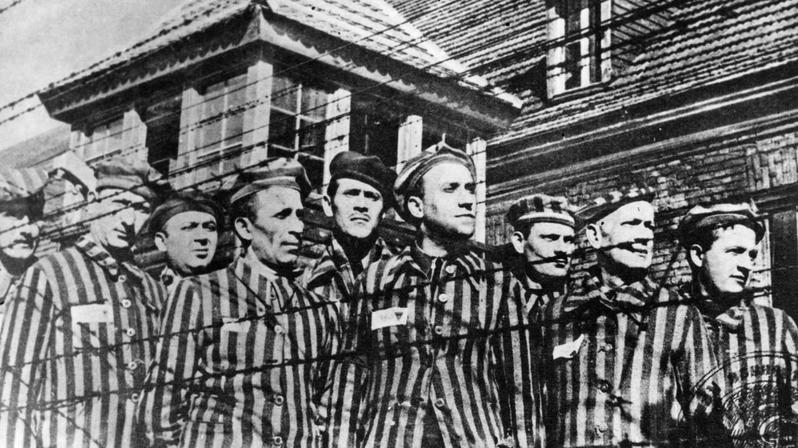 While exact numbers will remain elusive, the critical consensus among scholars rests on a range close to 5.5 to 6 million Jewish deaths. This range reflects the best achievable estimate after careful analysis of all available evidence. It acknowledges data gaps without undermining the scale or reality of the tragedy.