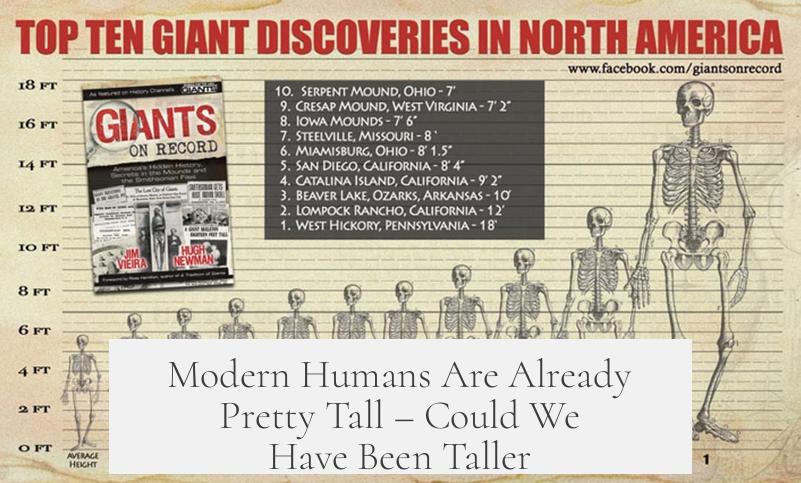 Modern Humans Are Already Pretty Tall – Could We Have Been Taller?