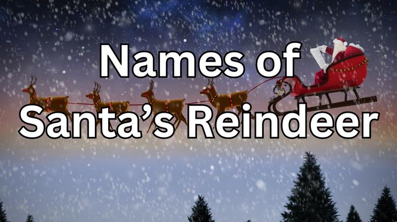 Before flying reindeer became associated with Santa, the traditional depiction of St. Nicholas featured him riding a horse. In Dutch-American culture, he reportedly traveled in a horse-drawn wagon that could move both on the ground and on treetops. Similarly, European Dutch traditions showed St. Nicholas riding a horse across rooftops. The switch from horse to flying reindeer happened shortly before the poem appeared, marking a significant evolution in Santa iconography.
