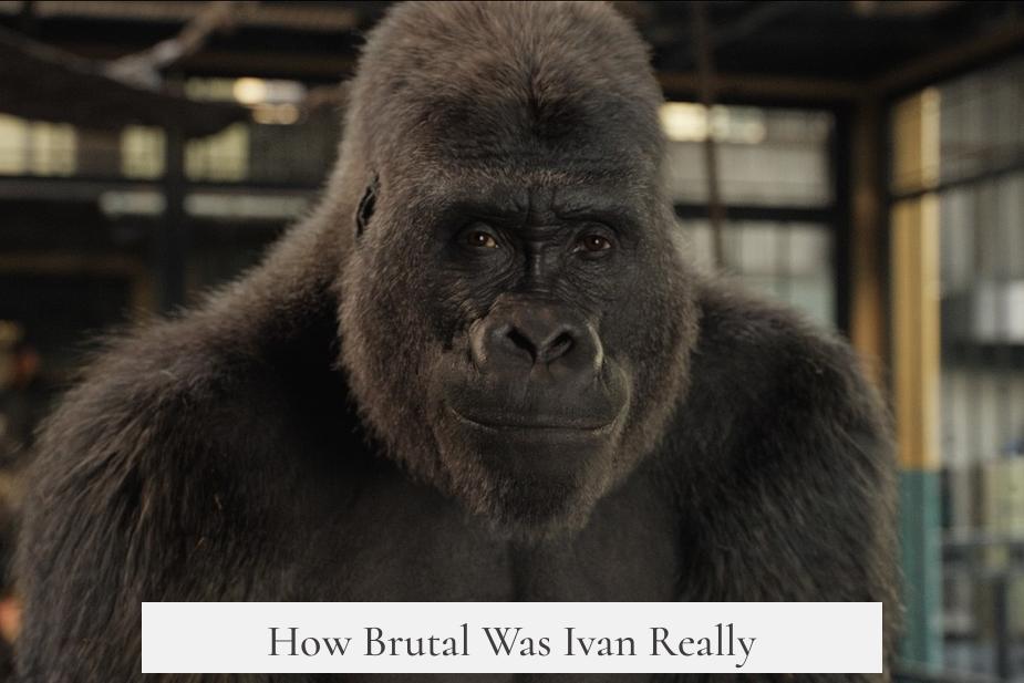 How Brutal Was Ivan Really?