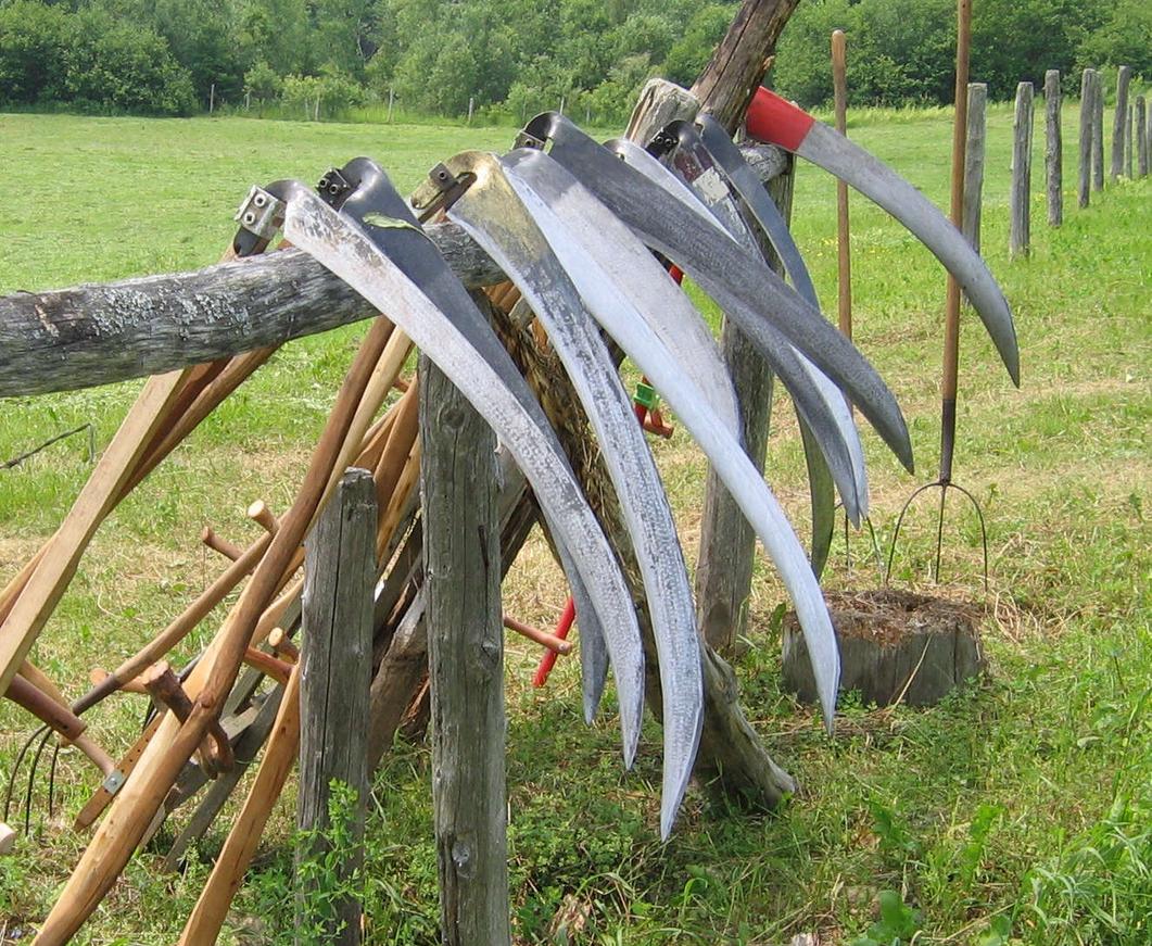 The scythe becomes associated with death during the 14th century, evolving from earlier symbolic uses of agricultural tools as instruments of divine judgment and soul harvesting. This transformation culminates in the modern Grim Reaper figure wielding a scythe, a process that began with biblical metaphors and matured through medieval and Renaissance art.
