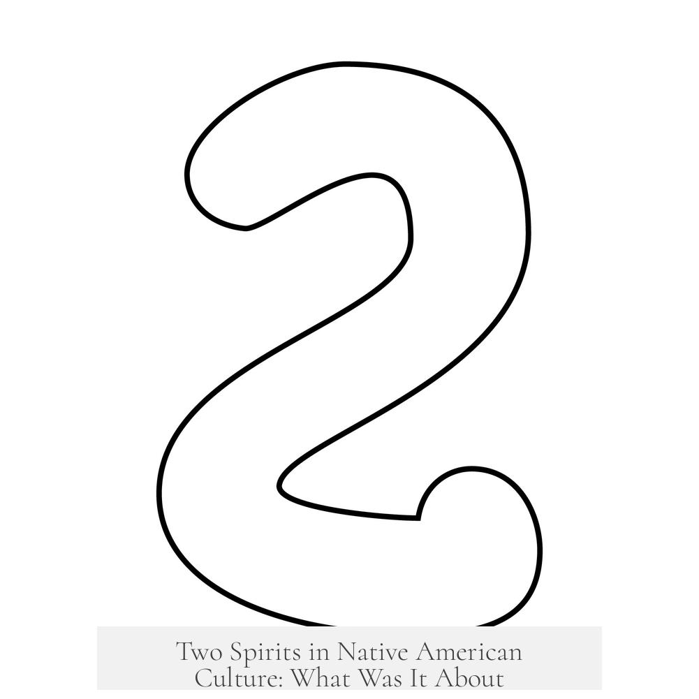 Two Spirits in Native American Culture: What Was It About?