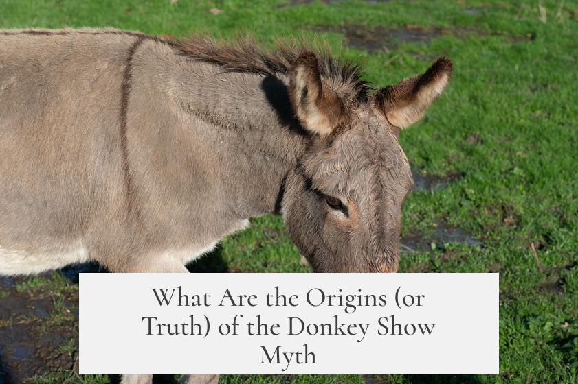 What Are the Origins (or Truth) of the Donkey Show Myth?