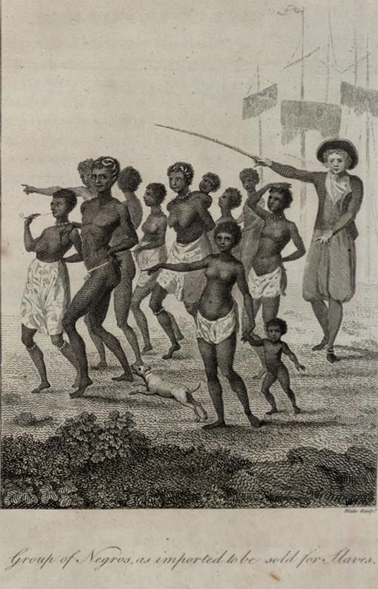 Buck Breaking of Slaves: Myths, Realities, and the Complex History of Sexual Exploitation