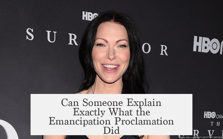 Can Someone Explain Exactly What the Emancipation Proclamation Did?