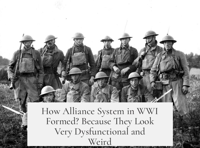 How Alliance System in WWI Formed? Because They Look Very Dysfunctional and Weird