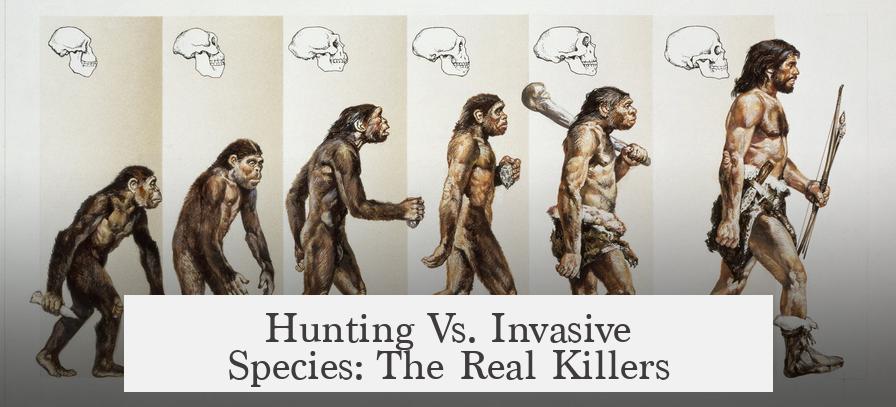 Hunting Vs. Invasive Species: The Real Killers