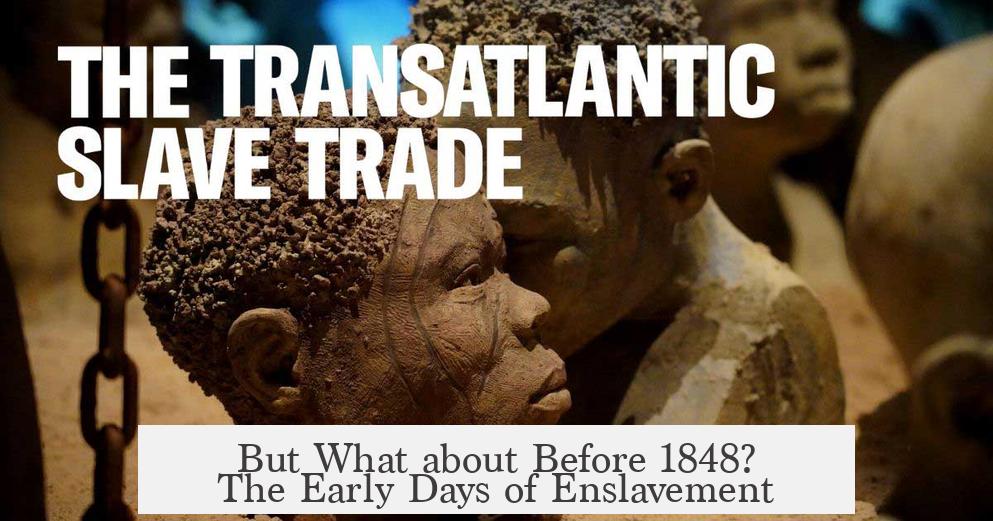 But What about Before 1848? The Early Days of Enslavement