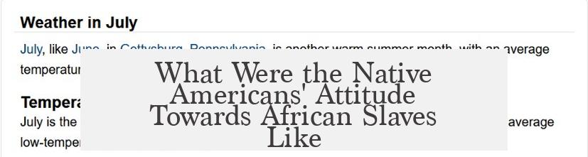 What Were the Native Americans' Attitude Towards African Slaves Like?