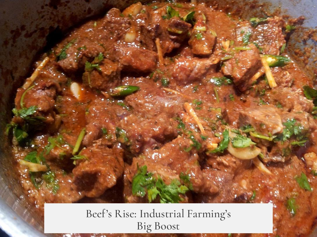 Beef’s Rise: Industrial Farming’s Big Boost