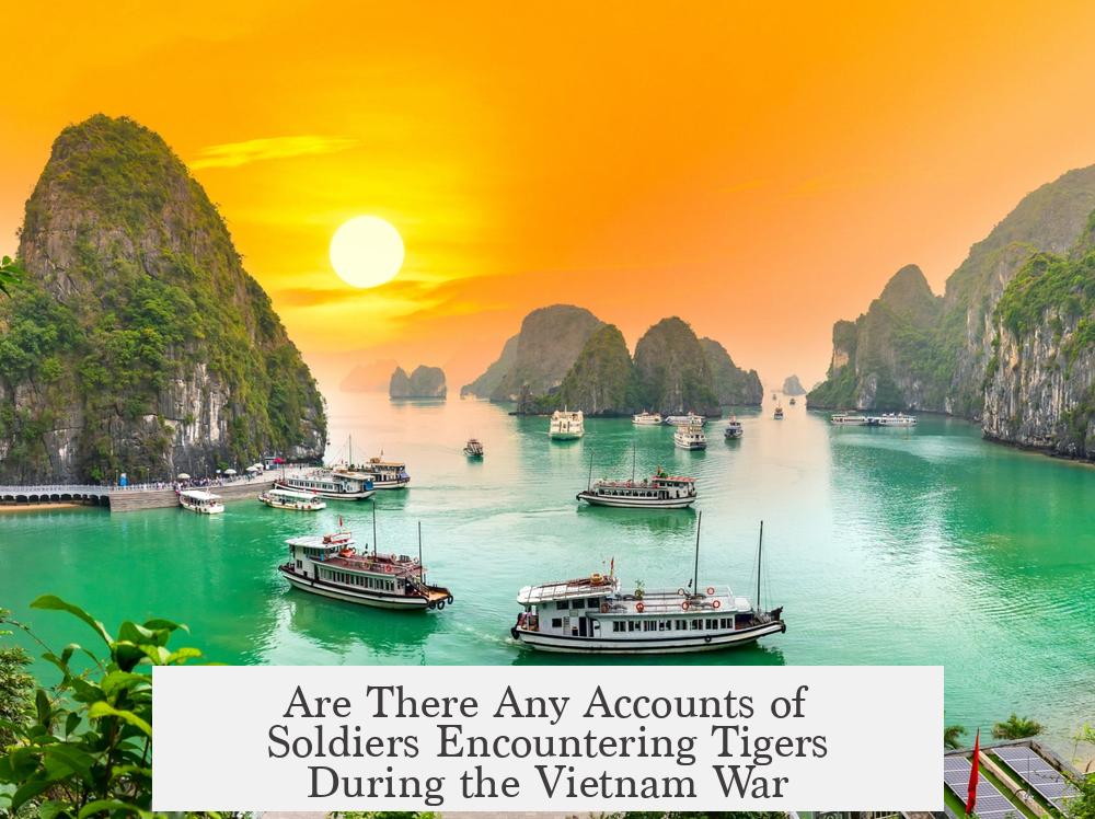 Are There Any Accounts of Soldiers Encountering Tigers During the Vietnam War?