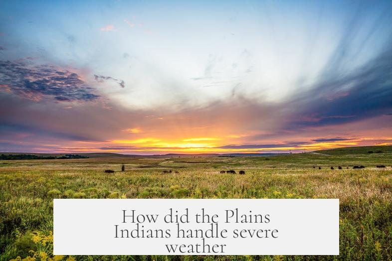 How did the Plains Indians handle severe weather?