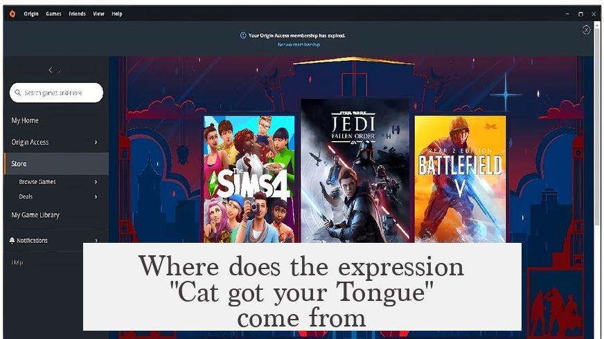 Where does the expression "Cat got your Tongue" come from?