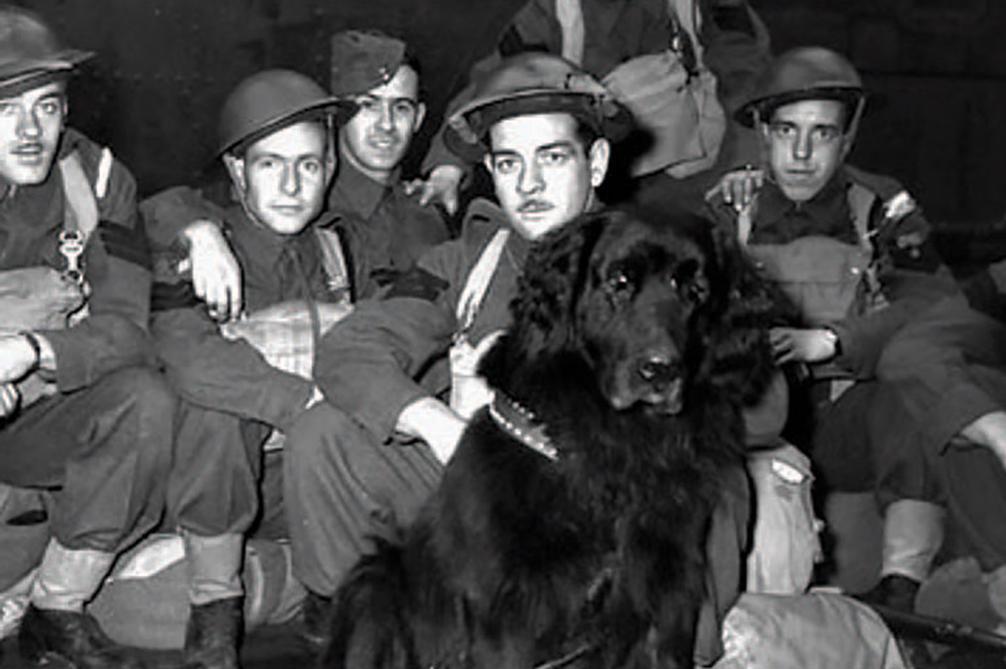 The absence of documented Canadian war crimes is notable, especially given the scale and brutality of WWII. While isolated incidents may have occurred, they have not entered the historical record in a manner that would label Canada as a nation known for wartime atrocities.