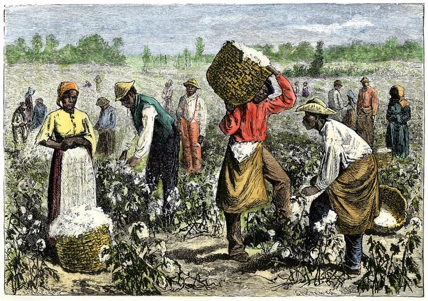 Economist Samuel H. Williamson estimated the peak average slave price in 1860 to be about $800, equal to roughly $20,150 today after adjusting for inflation. Other estimates place modern equivalents conservatively between $8,000 and $16,000. The range reflects the diverse quality and capabilities among enslaved people.