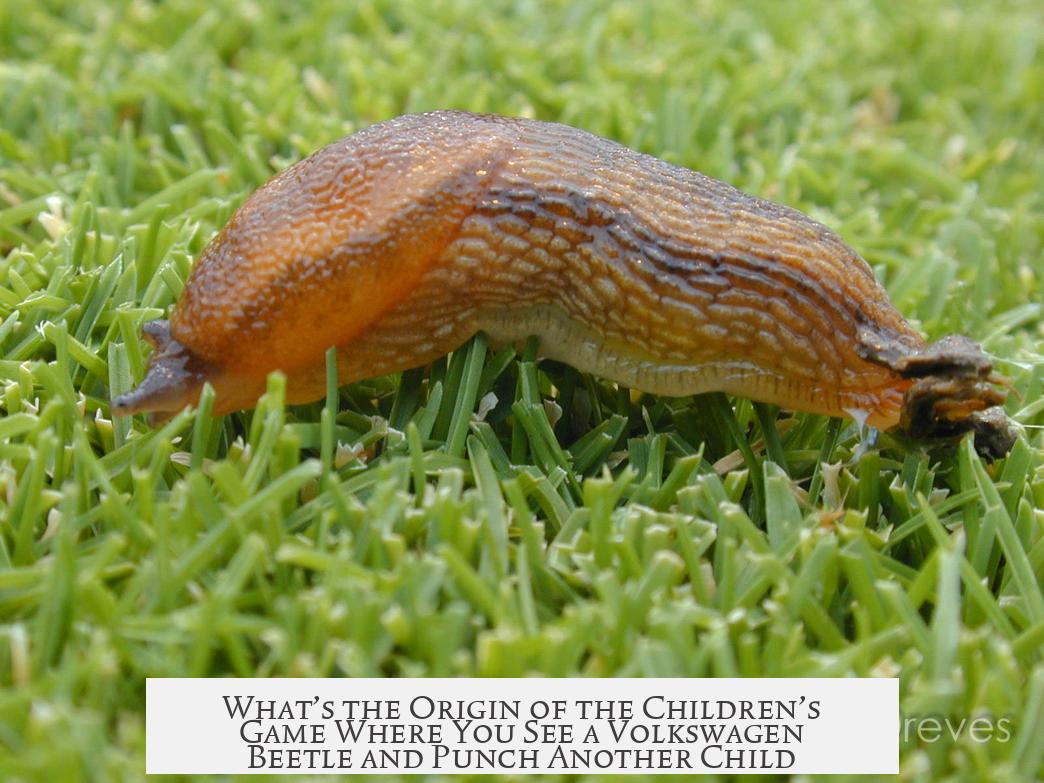 What’s the Origin of the Children’s Game Where You See a Volkswagen Beetle and Punch Another Child?