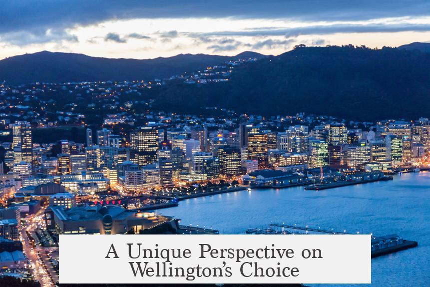 A Unique Perspective on Wellington’s Choice