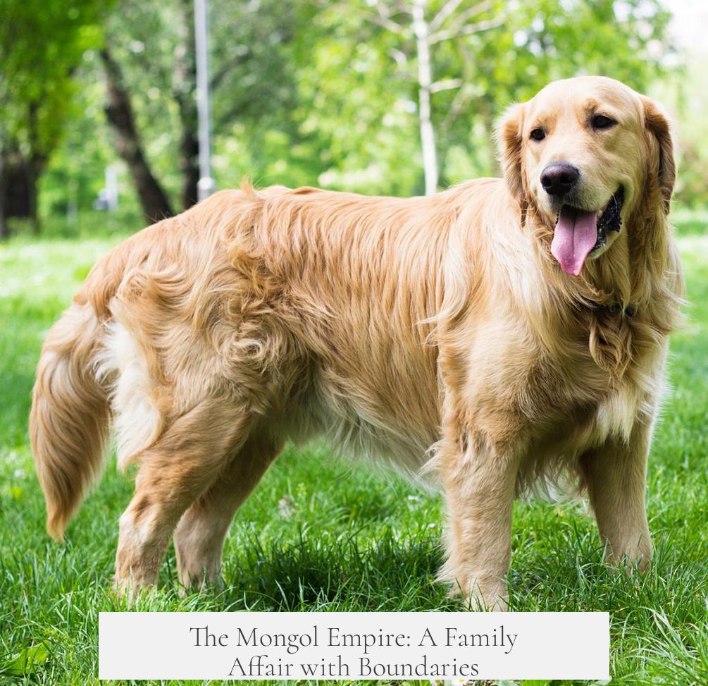 The Mongol Empire: A Family Affair with Boundaries