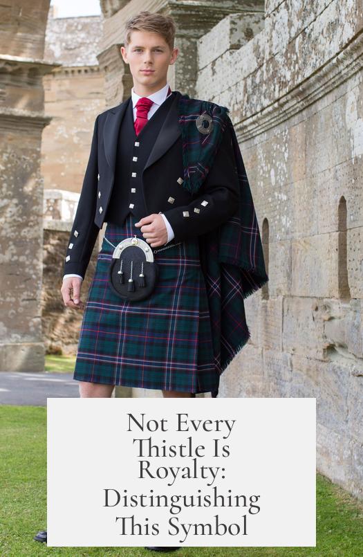 Not Every Thistle Is Royalty: Distinguishing This Symbol