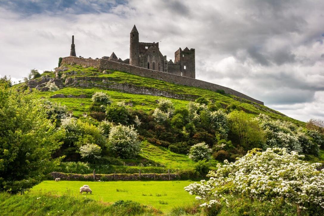 So, were the Irish Vikings? The short answer is no, not in the traditional sense. However, the story is far more complex and fascinating than a simple yes or no.Let's unravel this historical mystery. Imagine a medieval saga filled with daring sailors, ruthless pirates, cultural blending, and even some Irish monks who beat the Vikings to the punch by reaching Iceland first. This is the curious tale of the Irish and their Norse neighbors.