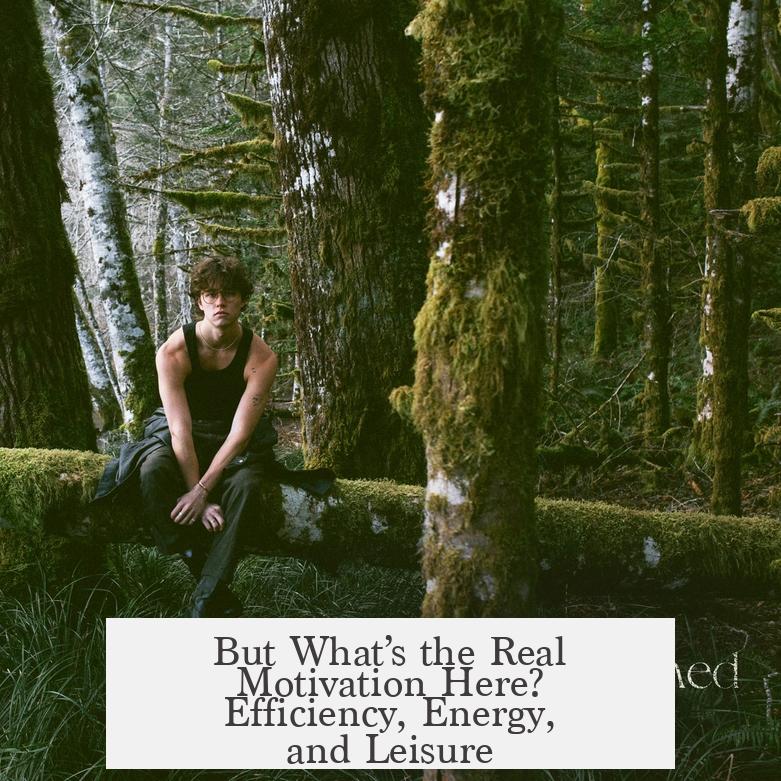 But What’s the Real Motivation Here? Efficiency, Energy, and Leisure