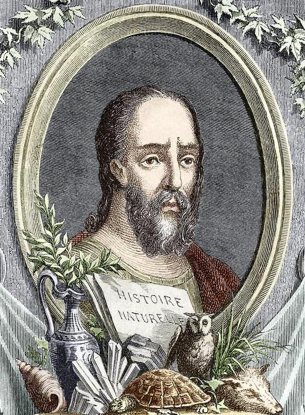 How do we know Pliny the Elder & Co. weren’t just writing Roman Empire propaganda about the rest of Europe?