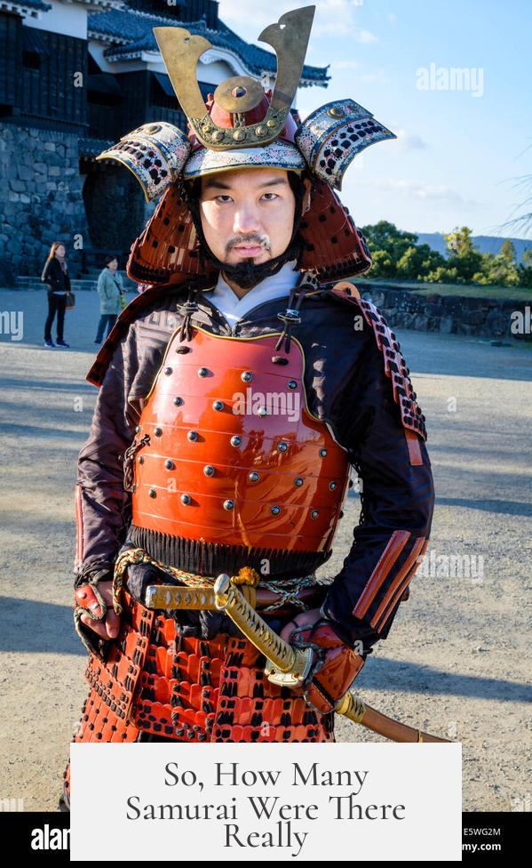 So, How Many Samurai Were There Really?