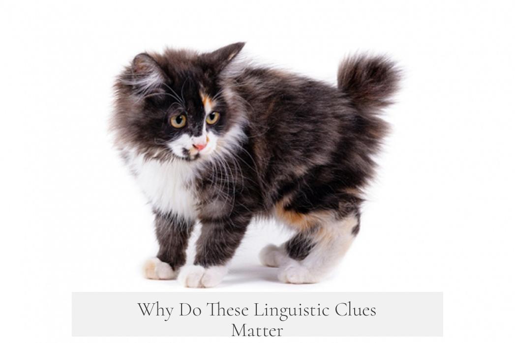 Why Do These Linguistic Clues Matter?