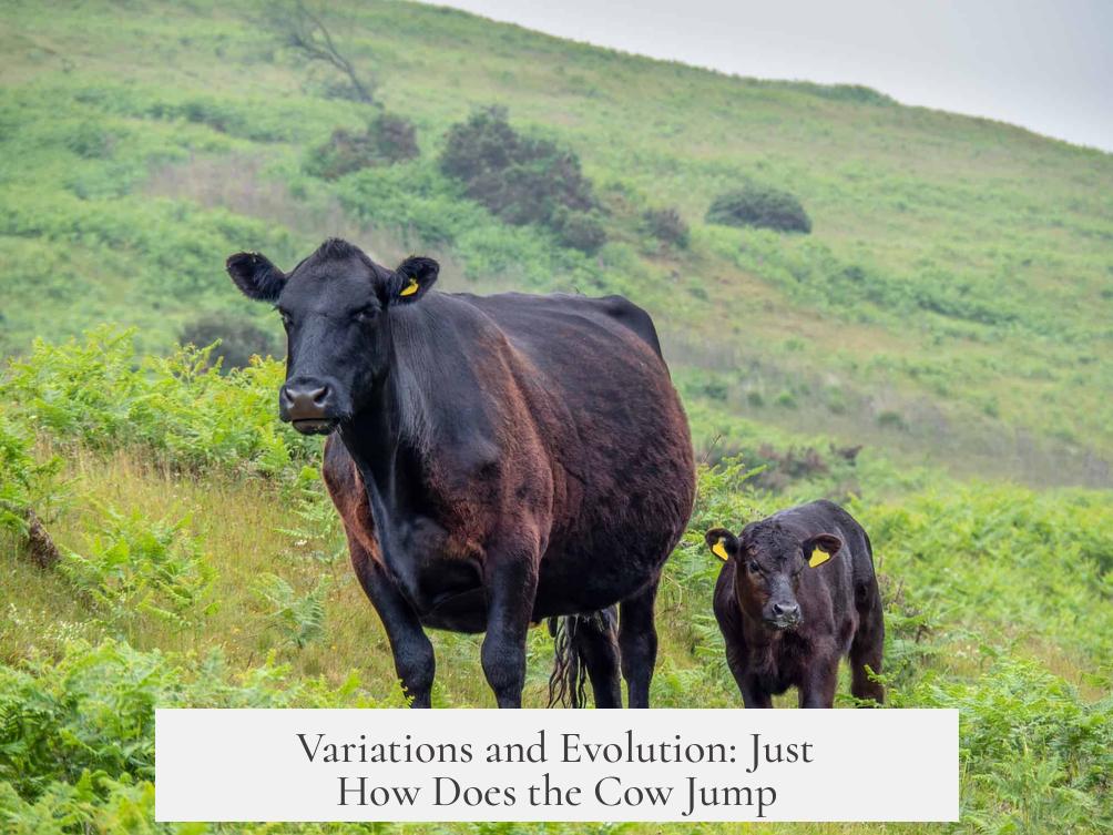 Variations and Evolution: Just How Does the Cow Jump?