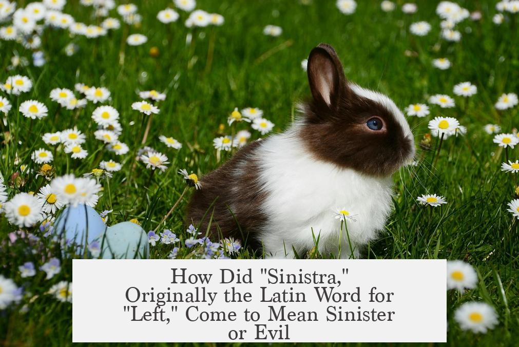 How Did "Sinistra," Originally the Latin Word for "Left," Come to Mean Sinister or Evil?