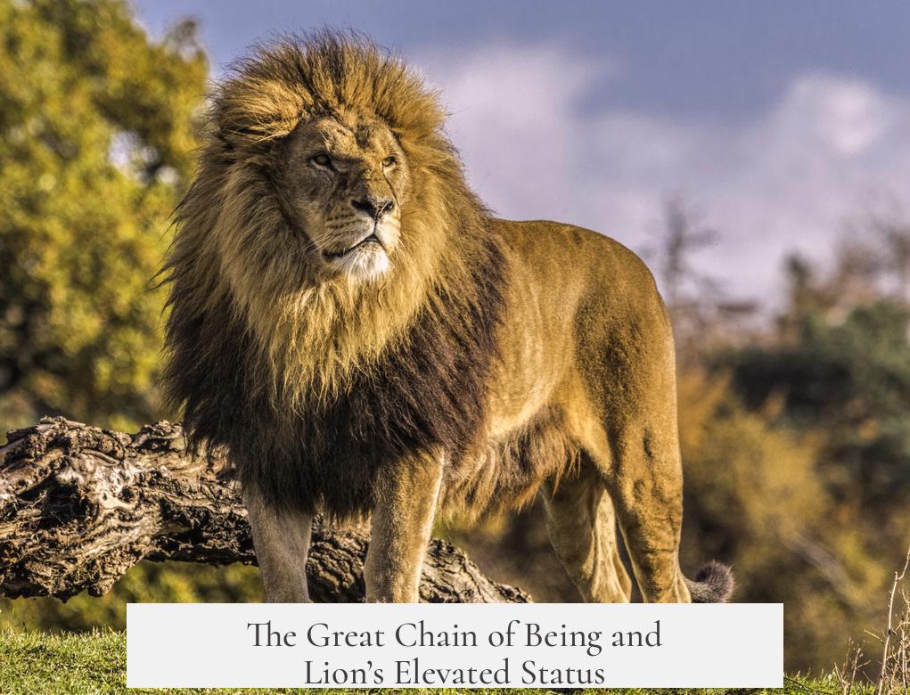 The Great Chain of Being and Lion’s Elevated Status