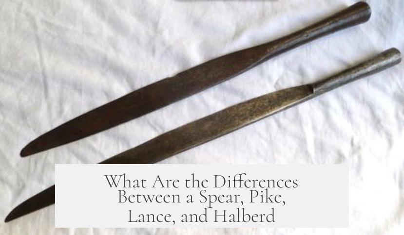 What Are the Differences Between a Spear, Pike, Lance, and Halberd?
