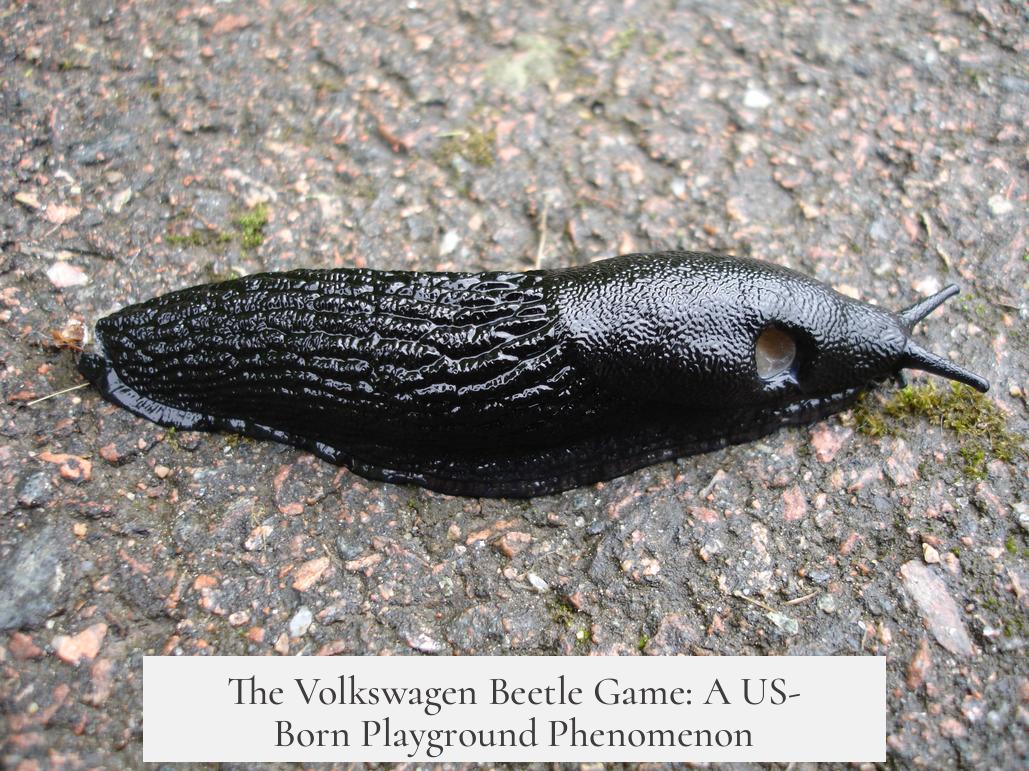 The Volkswagen Beetle Game: A US-Born Playground Phenomenon