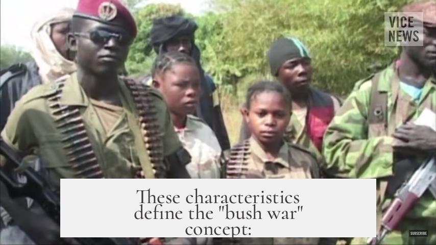 These characteristics define the "bush war" concept:
