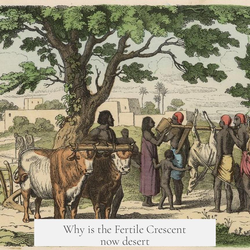 Why is the Fertile Crescent now desert?