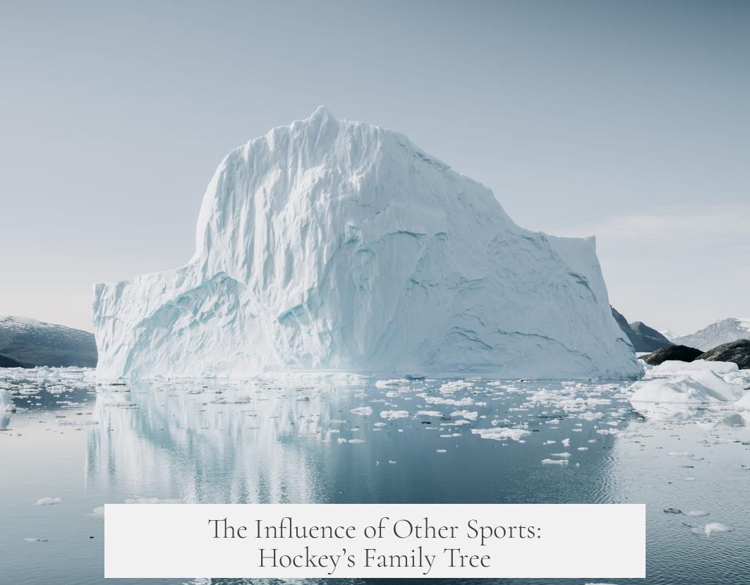 The Influence of Other Sports: Hockey’s Family Tree