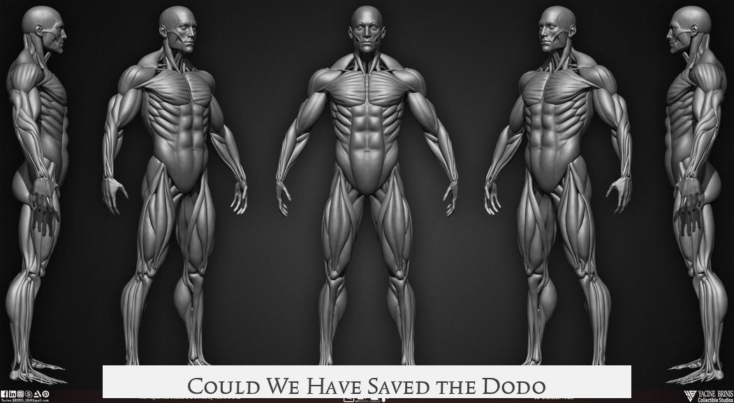 Could We Have Saved the Dodo?