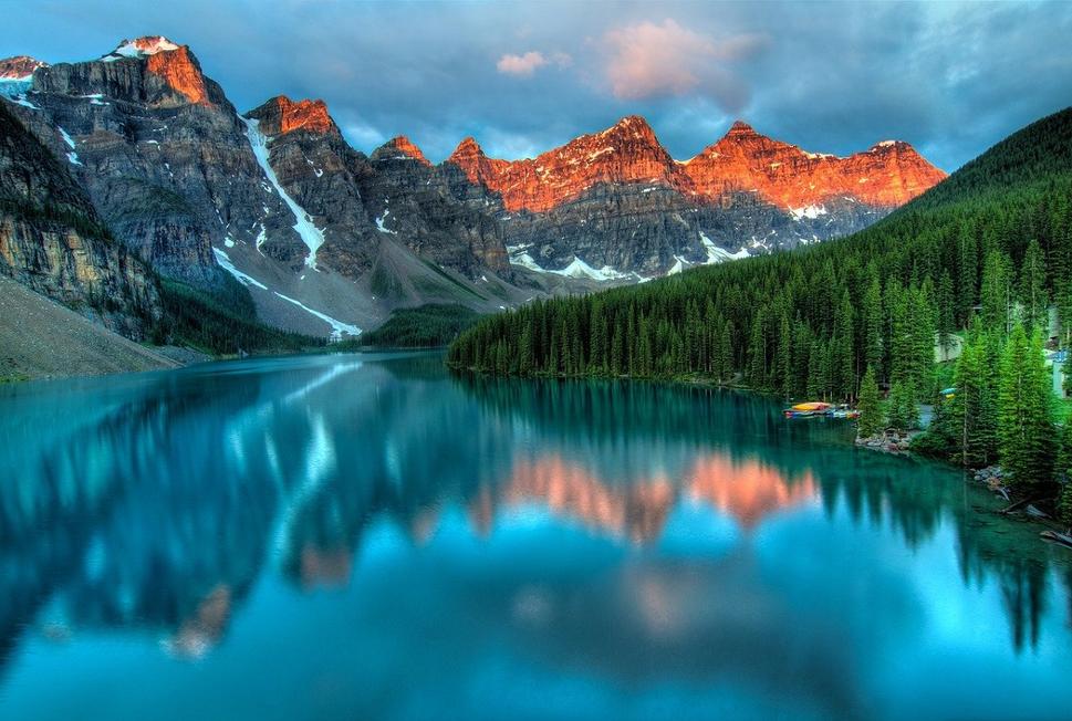 Lessons from Alberta’s Rodent-Free Success