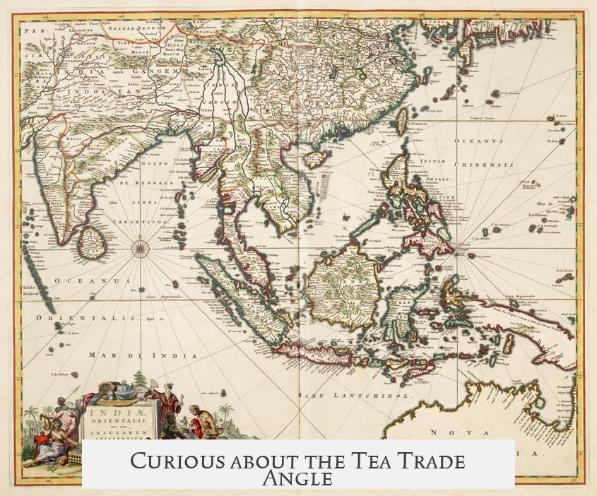 Curious about the Tea Trade Angle?