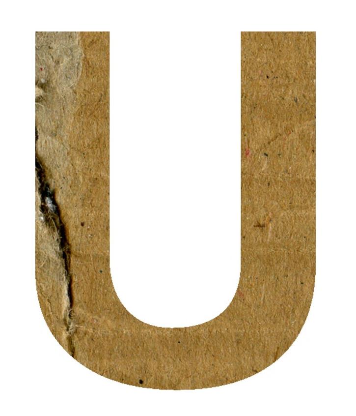 What Was Actually in the Letter? The Five Key Clauses