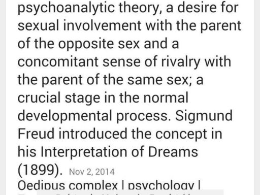 Did Amalia Nathansohn Freud Address the Oedipus Complex in Sigmund Freud's Work