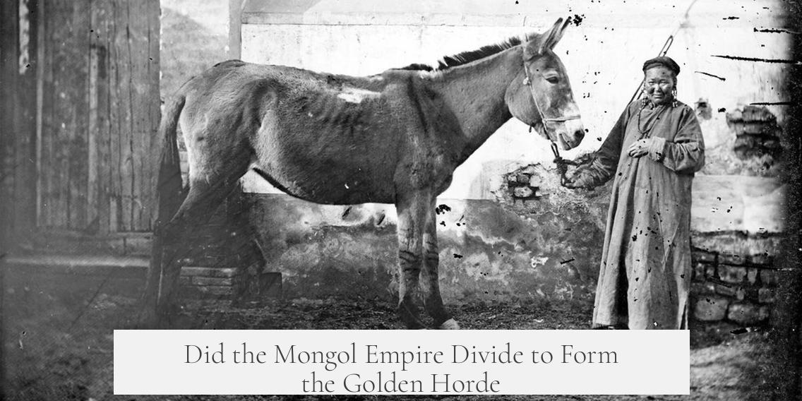 Did the Mongol Empire Divide to Form the Golden Horde