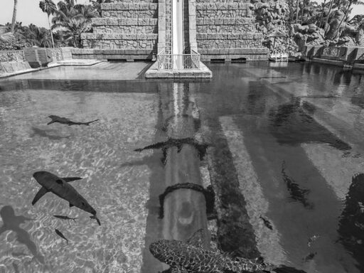 Historians Question the Existence of Atlantis: Myth or a Lost Ancient City