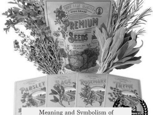 Meaning and Symbolism of Herbs in "Scarborough Fair": Parsley, Sage, Rosemary, and Thyme