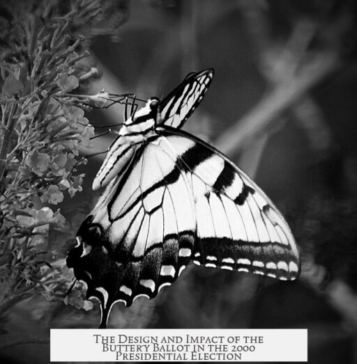 The Design and Impact of the Butterfly Ballot in the 2000 Presidential Election