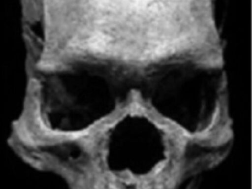 Giant Humans in History: Evidence, Myths, and Archeological Insights