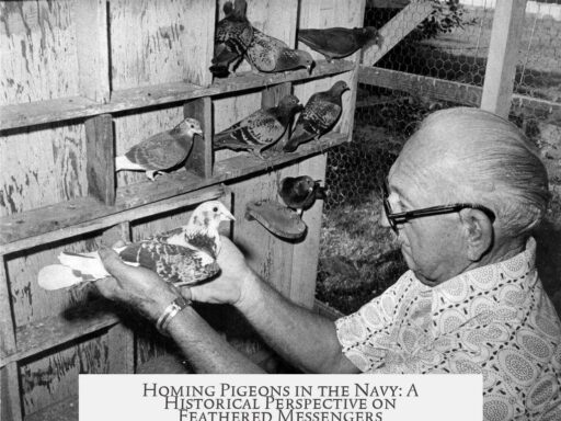 Homing Pigeons in the Navy: A Historical Perspective on Feathered Messengers